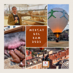 MERCAT DEL RAM 2023